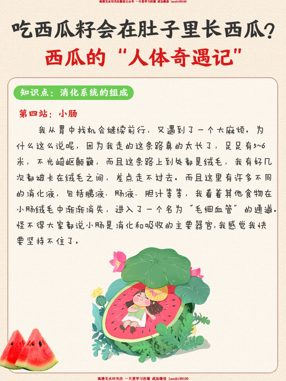 趣味生物-吃了西瓜籽肚子里会长西瓜吗？_2025抖音最火小学全科全年级资料大全集超完整版_小学常识VIP资源禁止外传