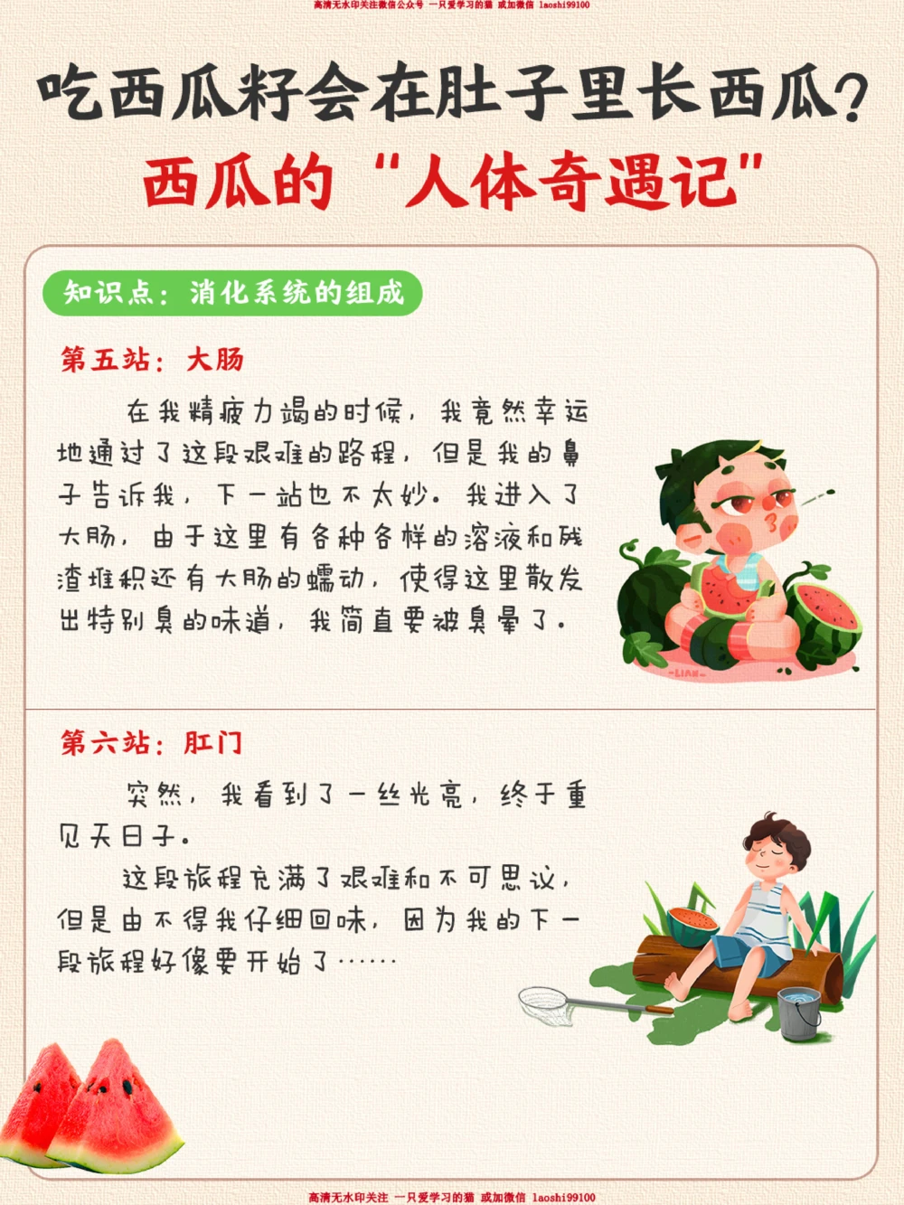 趣味生物-吃了西瓜籽肚子里会长西瓜吗？_2025抖音最火小学全科全年级资料大全集超完整版_小学常识VIP资源禁止外传