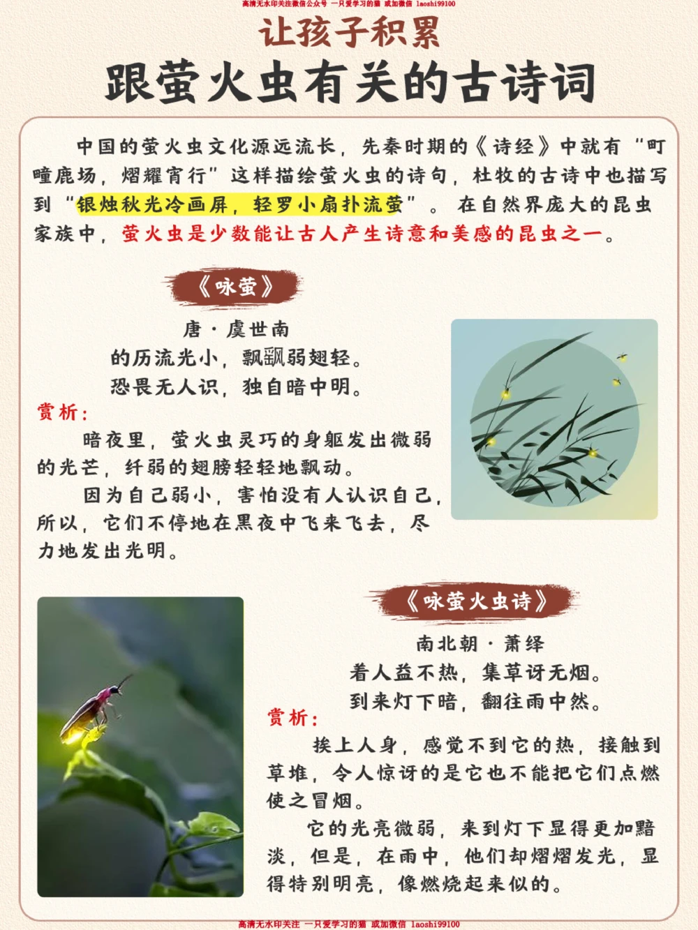 生物科普&middot;萤火虫我的生命只剩最后7天_2025抖音最火小学全科全年级资料大全集超完整版_小学常识VIP资源禁止外传