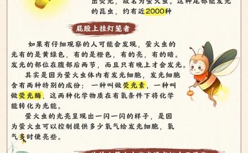 生物科普&middot;萤火虫我的生命只剩最后7天_2025抖音最火小学全科全年级资料大全集超完整版_小学常识VIP资源禁止外传