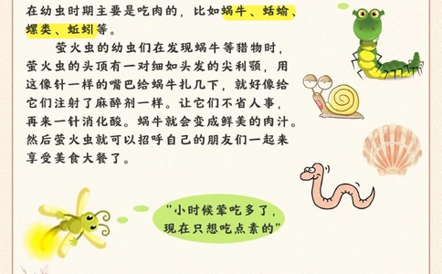 生物科普&middot;萤火虫我的生命只剩最后7天_2025抖音最火小学全科全年级资料大全集超完整版_小学常识VIP资源禁止外传