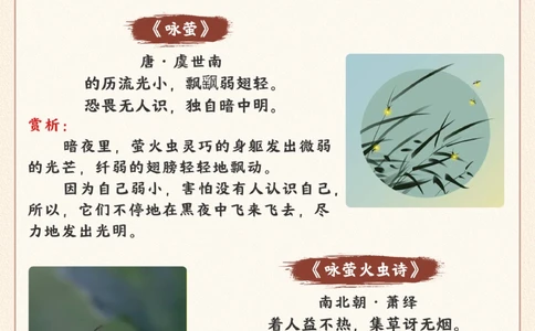 生物科普&middot;萤火虫我的生命只剩最后7天_2025抖音最火小学全科全年级资料大全集超完整版_小学常识VIP资源禁止外传