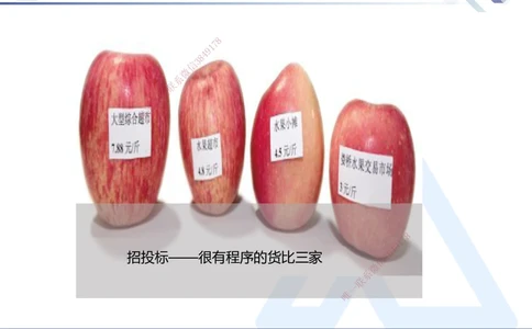 02.2025张峰-考点专项突破-法规2_2026年一建法规_2025年一建法规SVIP_02-基础精讲✿高端面授✿深度强化_39-法规《考点专项突破》张峰HX_讲义