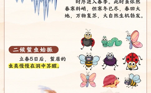节气科普丨立春为岁首2024无春天_2025抖音最火小学全科全年级资料大全集超完整版_小学常识VIP资源禁止外传