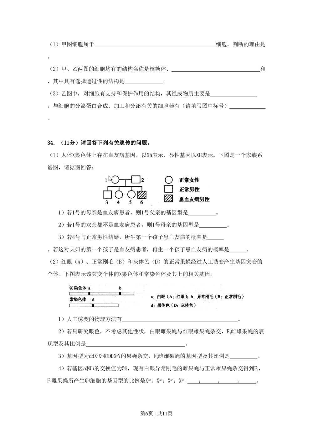 2008年高考生物试卷（上海）（空白卷）_生物历年高考真题_新&middot;PDF版2008-2025&middot;高考生物真题_生物（按试卷类型分类）2008-2025_自主命题卷&middot;生物（2008-2025）_上海自主命题&middot;生物（2008-2022）