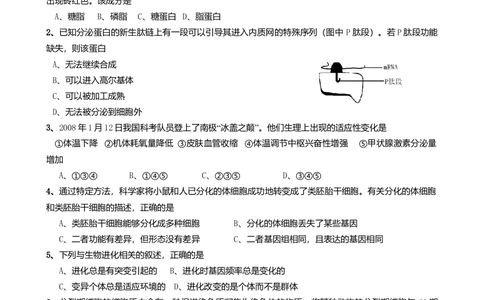 2008年高考生物试卷（山东）（空白卷）_生物历年高考真题_新&middot;Word版2008-2025&middot;高考生物真题_生物（按年份分类）2008-2025_2008&middot;高考生物真题