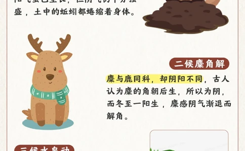 节气科普冬至不端饺子碗-冻掉耳朵没人管_2025抖音最火小学全科全年级资料大全集超完整版_小学常识VIP资源禁止外传