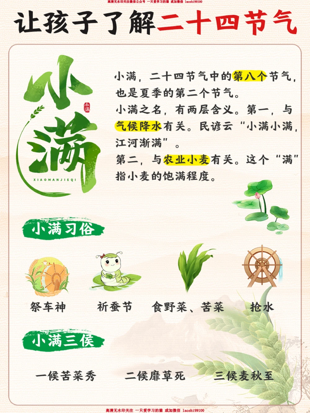 认识二十四节气小满-小满胜万全_2025抖音最火小学全科全年级资料大全集超完整版_小学常识VIP资源禁止外传