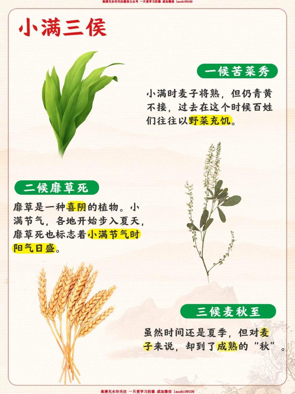 认识二十四节气小满-小满胜万全_2025抖音最火小学全科全年级资料大全集超完整版_小学常识VIP资源禁止外传