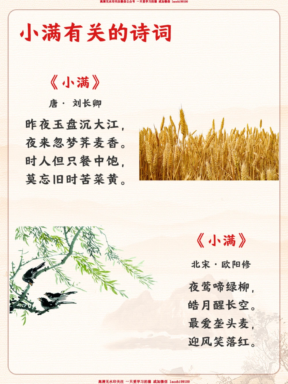 认识二十四节气小满-小满胜万全_2025抖音最火小学全科全年级资料大全集超完整版_小学常识VIP资源禁止外传