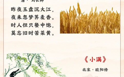 认识二十四节气小满-小满胜万全_2025抖音最火小学全科全年级资料大全集超完整版_小学常识VIP资源禁止外传