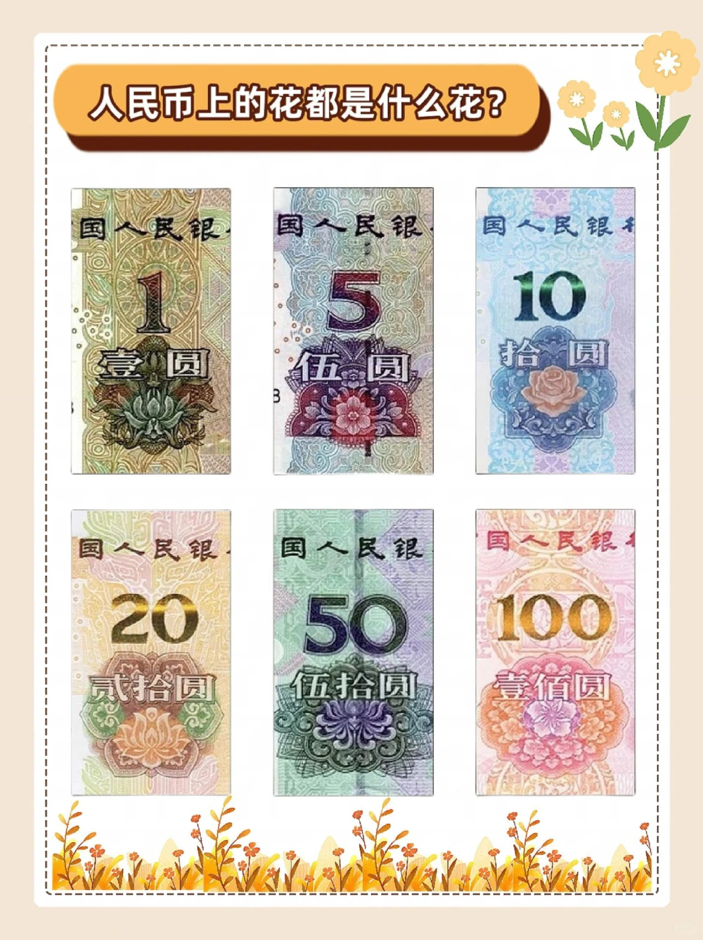 涨知识，纸币上的花，都是什么花？_中小学精品资料(高清可打印)_常识知识大全集140份高清资料整理版