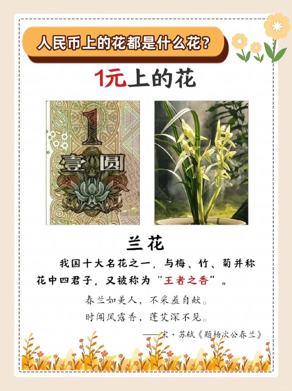 涨知识，纸币上的花，都是什么花？_中小学精品资料(高清可打印)_常识知识大全集140份高清资料整理版