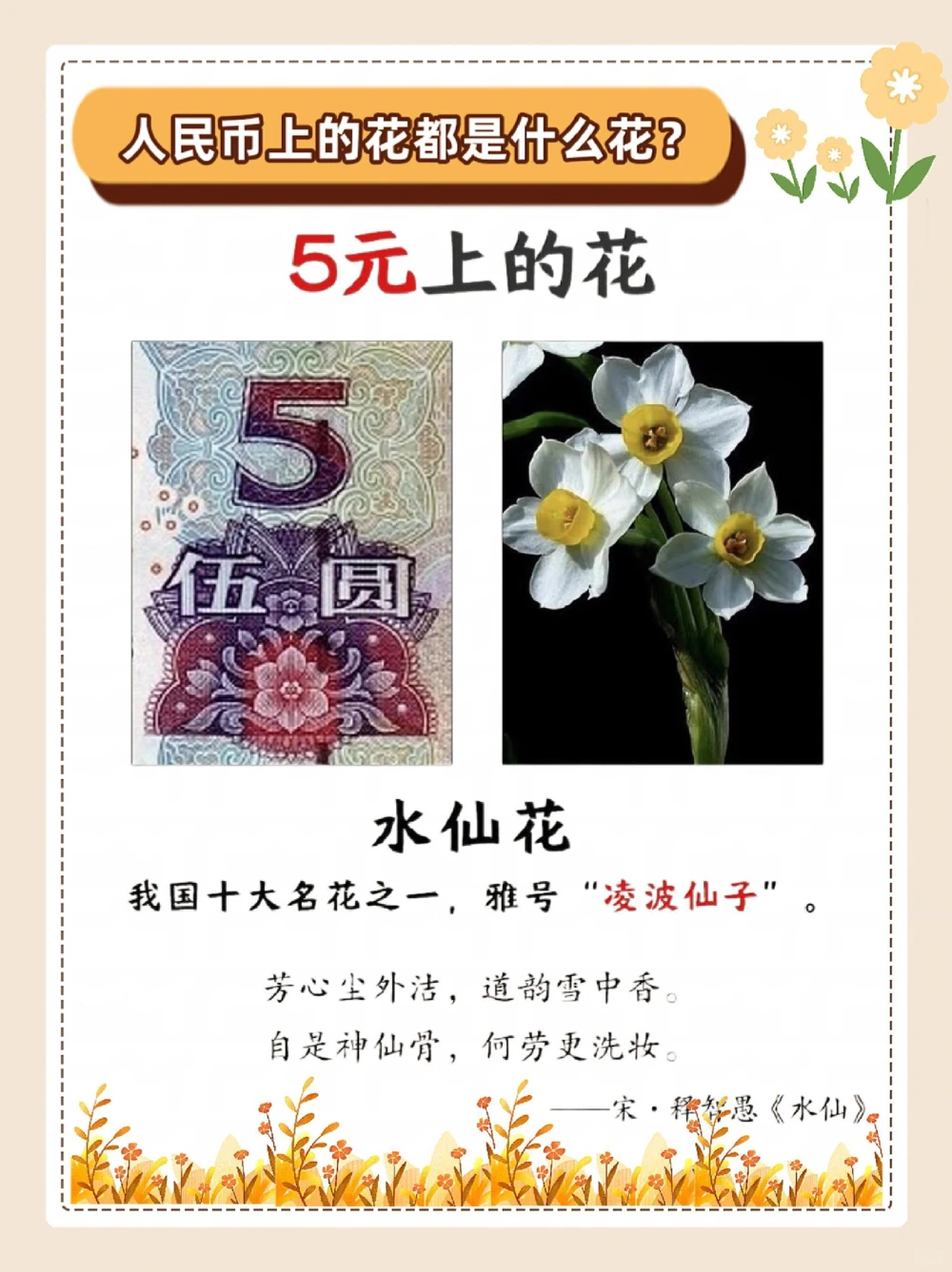 涨知识，纸币上的花，都是什么花？_中小学精品资料(高清可打印)_常识知识大全集140份高清资料整理版