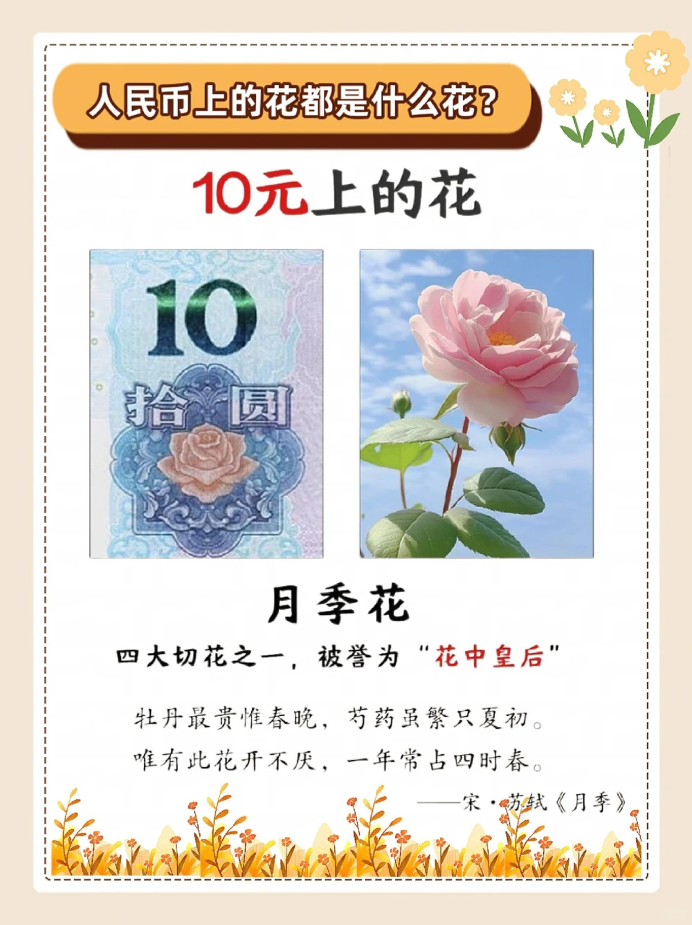 涨知识，纸币上的花，都是什么花？_中小学精品资料(高清可打印)_常识知识大全集140份高清资料整理版