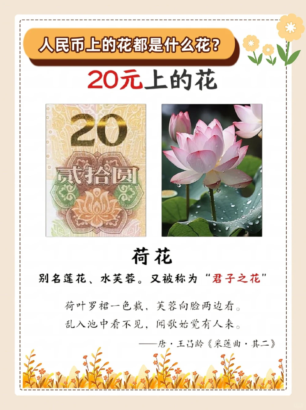 涨知识，纸币上的花，都是什么花？_中小学精品资料(高清可打印)_常识知识大全集140份高清资料整理版