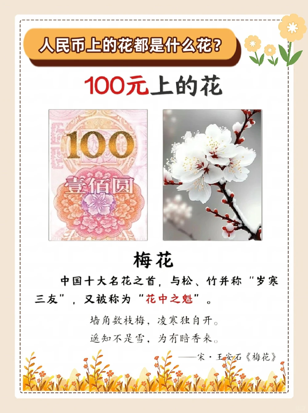 涨知识，纸币上的花，都是什么花？_中小学精品资料(高清可打印)_常识知识大全集140份高清资料整理版