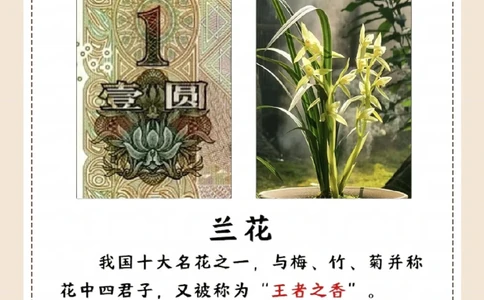涨知识，纸币上的花，都是什么花？_中小学精品资料(高清可打印)_常识知识大全集140份高清资料整理版