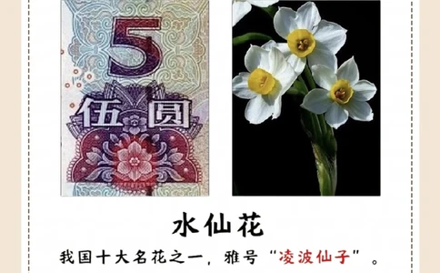涨知识，纸币上的花，都是什么花？_中小学精品资料(高清可打印)_常识知识大全集140份高清资料整理版