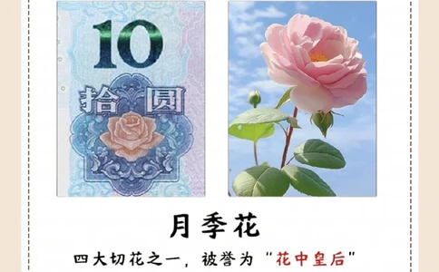 涨知识，纸币上的花，都是什么花？_中小学精品资料(高清可打印)_常识知识大全集140份高清资料整理版