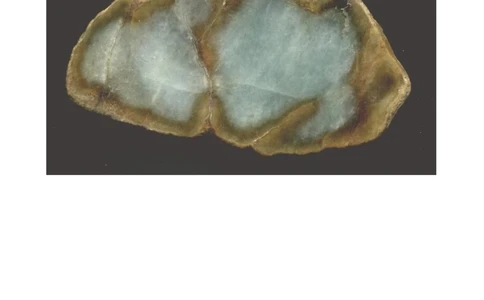 关于翡(红、黄)色翡翠鉴定中的研究_X018-玉石珠宝鉴定教程最新合集_8、玉石翡翠鉴定与投资电子资料_赌石专题