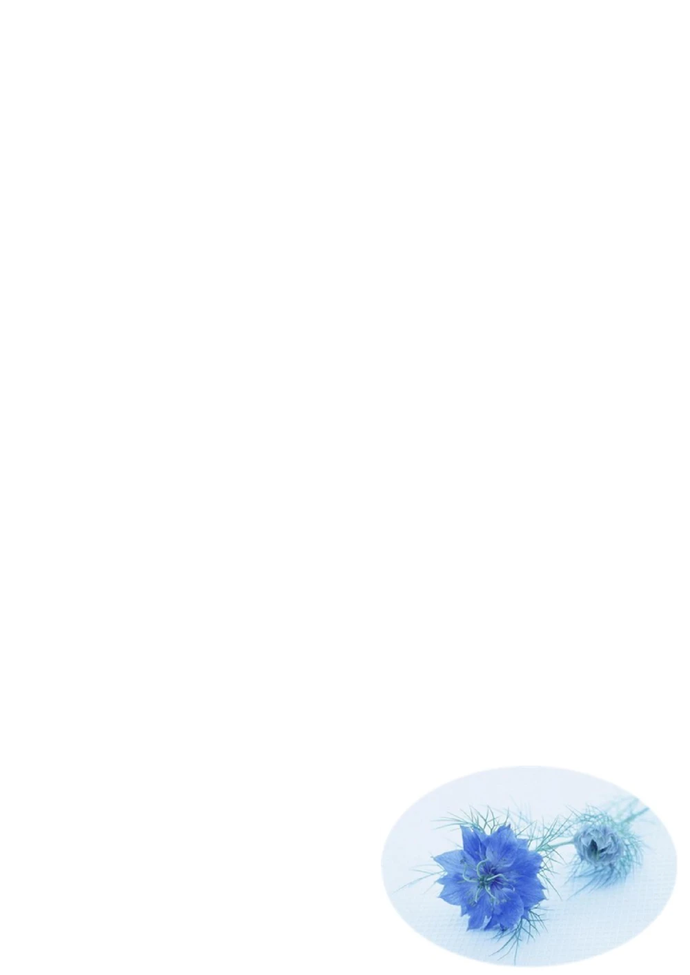 185.冰蓝干花_含封面_含底图_26考研复试_10考研复试资料25_考研经典面试系列（复试技巧调剂指导口语指导自我介绍导师模板）_01.复试联系导师及简历模板_简历模板大全_83