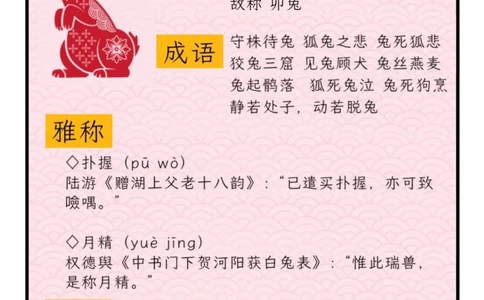 涨知识了｜十二生肖文化图鉴_中小学精品资料(高清可打印)_百科知识大全集312份高清资料整理版