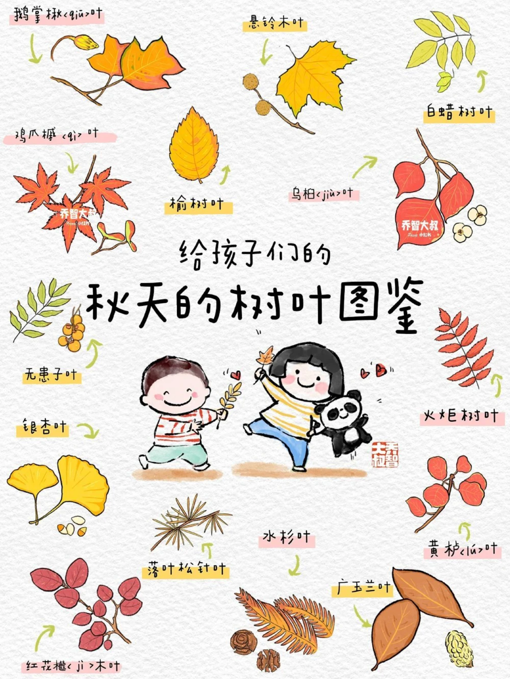 给孩子们的秋天的树叶图鉴_中小学精品资料(高清可打印)_常识知识大全集140份高清资料整理版