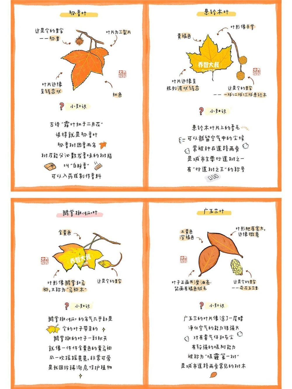 给孩子们的秋天的树叶图鉴_中小学精品资料(高清可打印)_常识知识大全集140份高清资料整理版