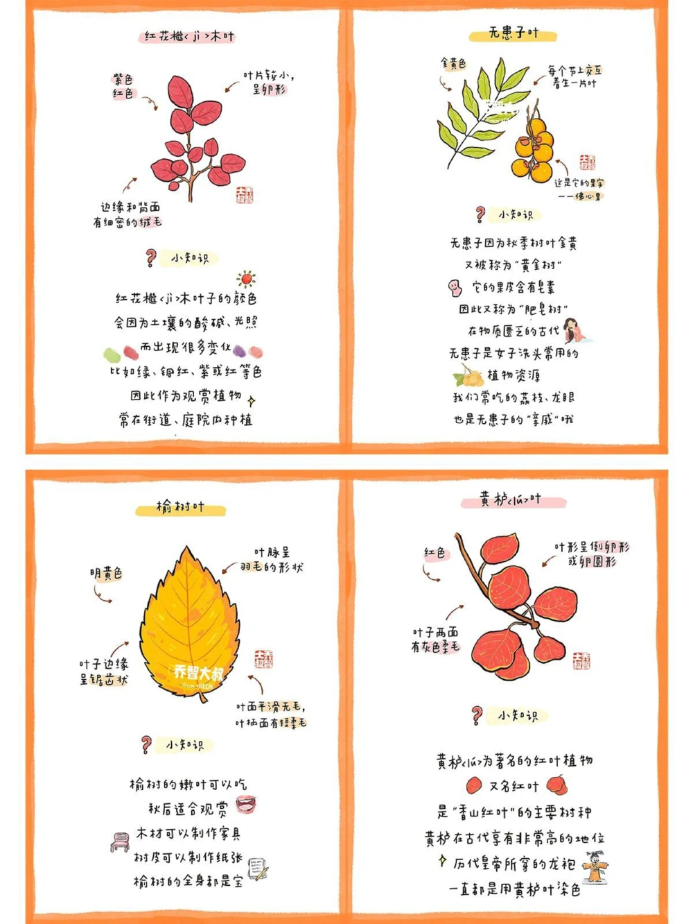 给孩子们的秋天的树叶图鉴_中小学精品资料(高清可打印)_常识知识大全集140份高清资料整理版