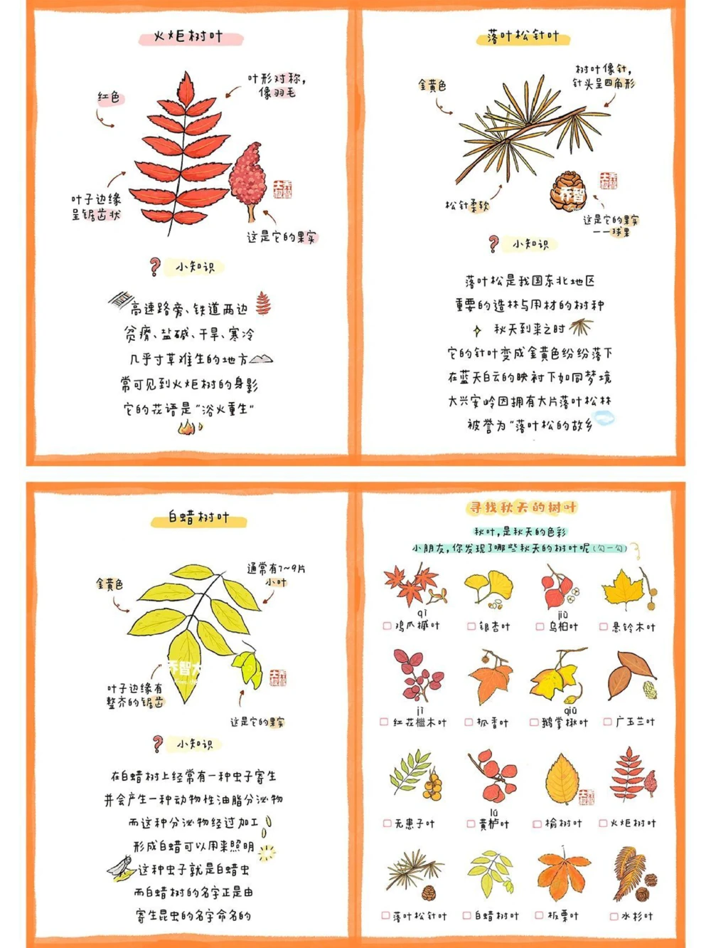 给孩子们的秋天的树叶图鉴_中小学精品资料(高清可打印)_常识知识大全集140份高清资料整理版