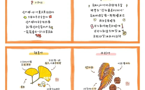 给孩子们的秋天的树叶图鉴_中小学精品资料(高清可打印)_常识知识大全集140份高清资料整理版