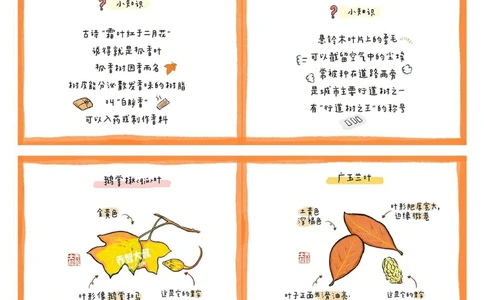 给孩子们的秋天的树叶图鉴_中小学精品资料(高清可打印)_常识知识大全集140份高清资料整理版