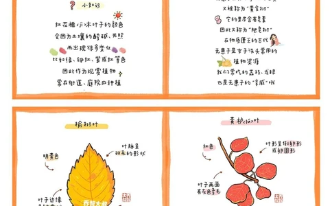 给孩子们的秋天的树叶图鉴_中小学精品资料(高清可打印)_常识知识大全集140份高清资料整理版