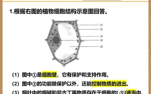 至少背三遍中考生物常考30道识图题_中小学精品资料(高清可打印)_初中大全集高清资料整理版