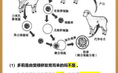 至少背三遍中考生物常考30道识图题_中小学精品资料(高清可打印)_初中大全集高清资料整理版