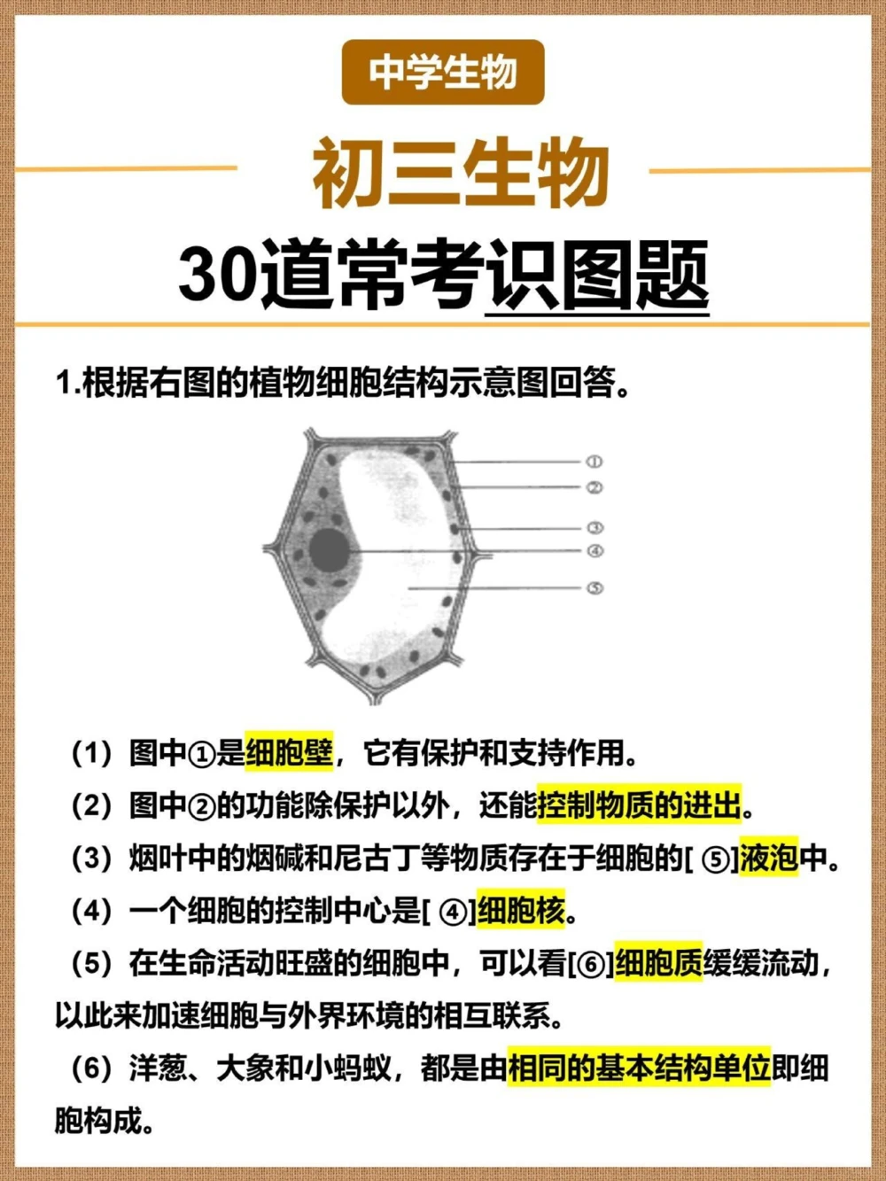 至少背三遍中考生物常考30道识图题_中小学精品资料(高清可打印)_初中大全集高清资料整理版