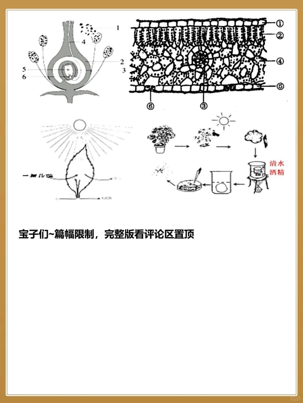 至少背三遍中考生物常考30道识图题_中小学精品资料(高清可打印)_初中大全集高清资料整理版