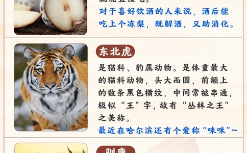 爆火城市哈尔滨的这些内容-快给孩子看看_2025抖音最火小学全科全年级资料大全集超完整版_学习方法VIP资源禁止外传