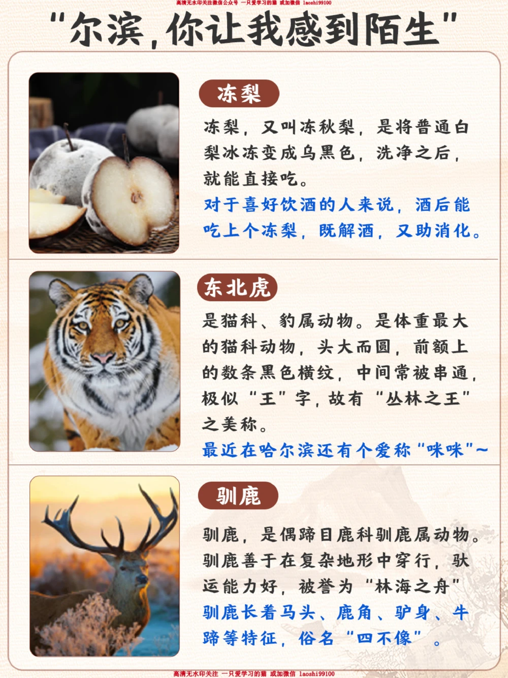 爆火城市哈尔滨的这些内容-快给孩子看看_2025抖音最火小学全科全年级资料大全集超完整版_学习方法VIP资源禁止外传