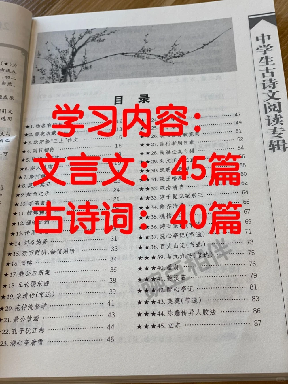 疯狂打卡古诗文学习动力百分百_中小学精品资料(高清可打印)_古诗词大全集281份高清资料整理版