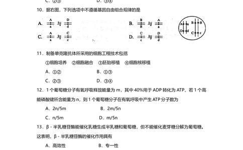 2008年高考生物试卷（上海）（解析卷）_生物历年高考真题_新&middot;Word版2008-2025&middot;高考生物真题_生物（按试卷类型分类）2008-2025_自主命题卷&middot;生物（2008-2025）_上海自主命题&middot;生物（2008-2022）