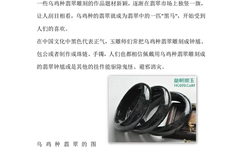 乌鸡种翡翠_X018-玉石珠宝鉴定教程最新合集_8、玉石翡翠鉴定与投资电子资料_赌石专题