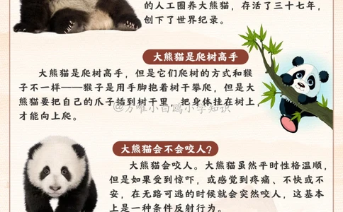 百科图鉴大熊猫居然有六根手指_2025抖音最火小学全科全年级资料大全集超完整版_小学常识VIP资源禁止外传