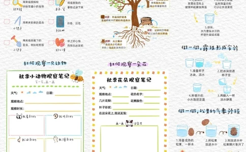 给孩子们的秋季自然观察手册_中小学精品资料(高清可打印)_常识知识大全集140份高清资料整理版