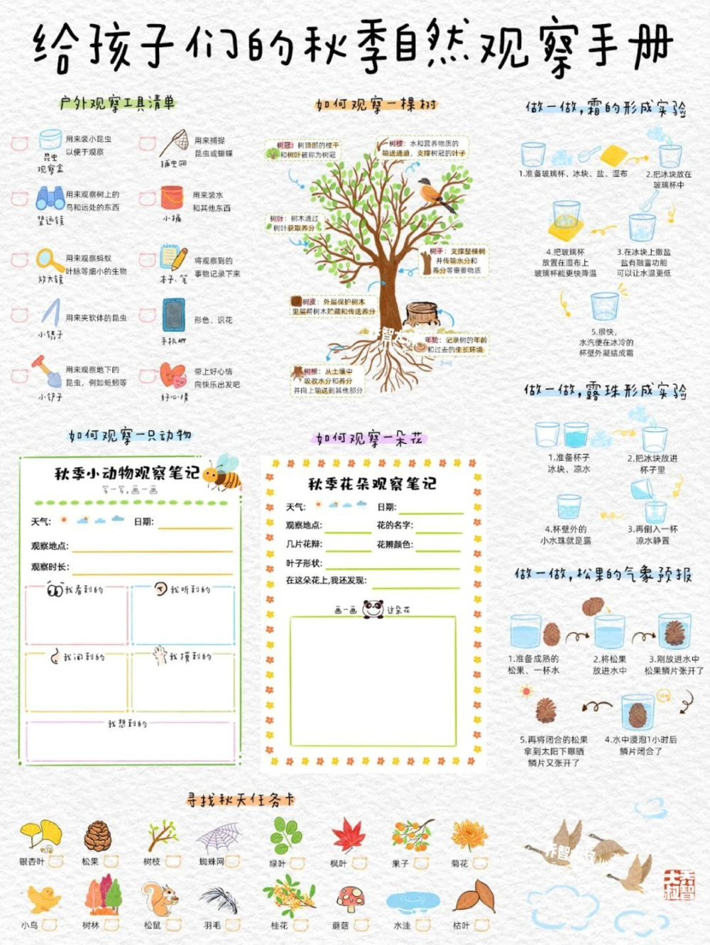 给孩子们的秋季自然观察手册_中小学精品资料(高清可打印)_常识知识大全集140份高清资料整理版