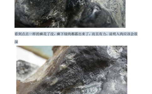 hgl20新手教学贴_X018-玉石珠宝鉴定教程最新合集_8、玉石翡翠鉴定与投资电子资料_赌石专题