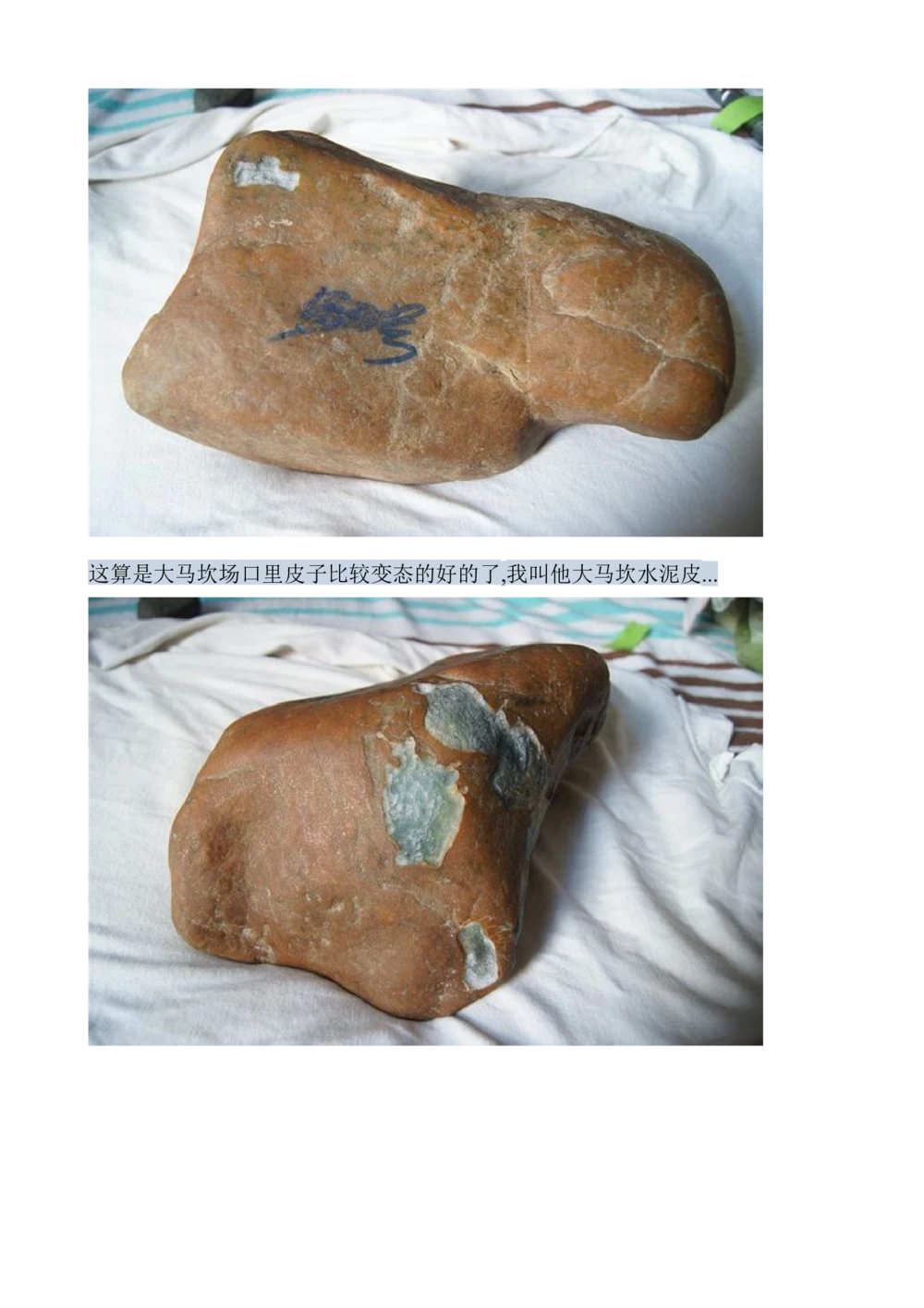 hgl20新手教学贴_X018-玉石珠宝鉴定教程最新合集_8、玉石翡翠鉴定与投资电子资料_赌石专题