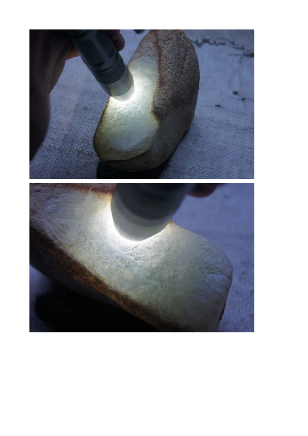 hgl20新手教学贴_X018-玉石珠宝鉴定教程最新合集_8、玉石翡翠鉴定与投资电子资料_赌石专题