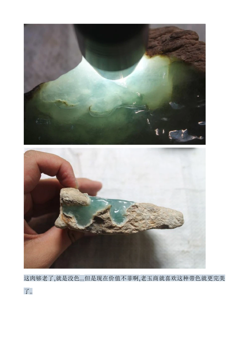 hgl20新手教学贴_X018-玉石珠宝鉴定教程最新合集_8、玉石翡翠鉴定与投资电子资料_赌石专题